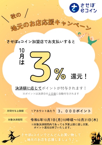 させぼeコイン2024年10月のキャンペーンチラシ