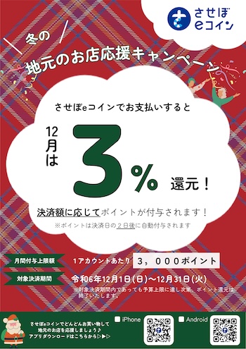 させぼeコイン2024年12月のキャンペーンチラシ